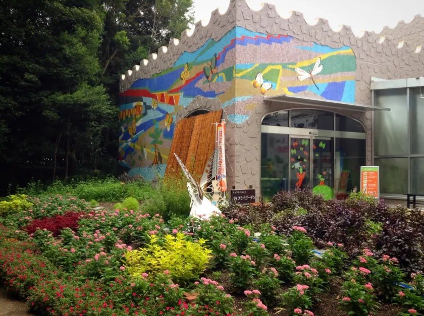 🦋 이타미시 곤충관 (이타미시 콘추칸)